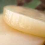 Wat is Komboecha? komboecha-moederzwam