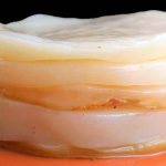 Hoe maak je zelf kombucha? kombucha-scoby-kopen