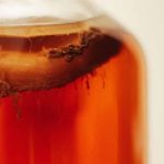 Kombucha kopen, waar kun je een komboecha moederzwam kopen? Kombucha online kopen