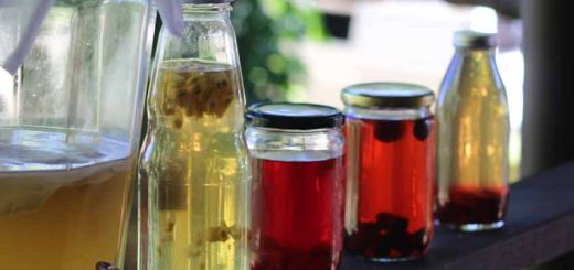 Kombucha maken