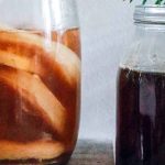 Alles wat je moet weten over Kombucha kombucha-zwam-kopen