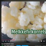 Alle info over kefir & kombucha melkkefir-recept-youtube