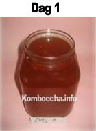 Kombucha Dag 1
