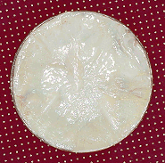 Close-up van een grote Kombucha Moederzwam